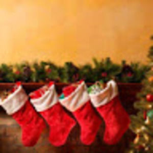 Meet your Posher, Lacey